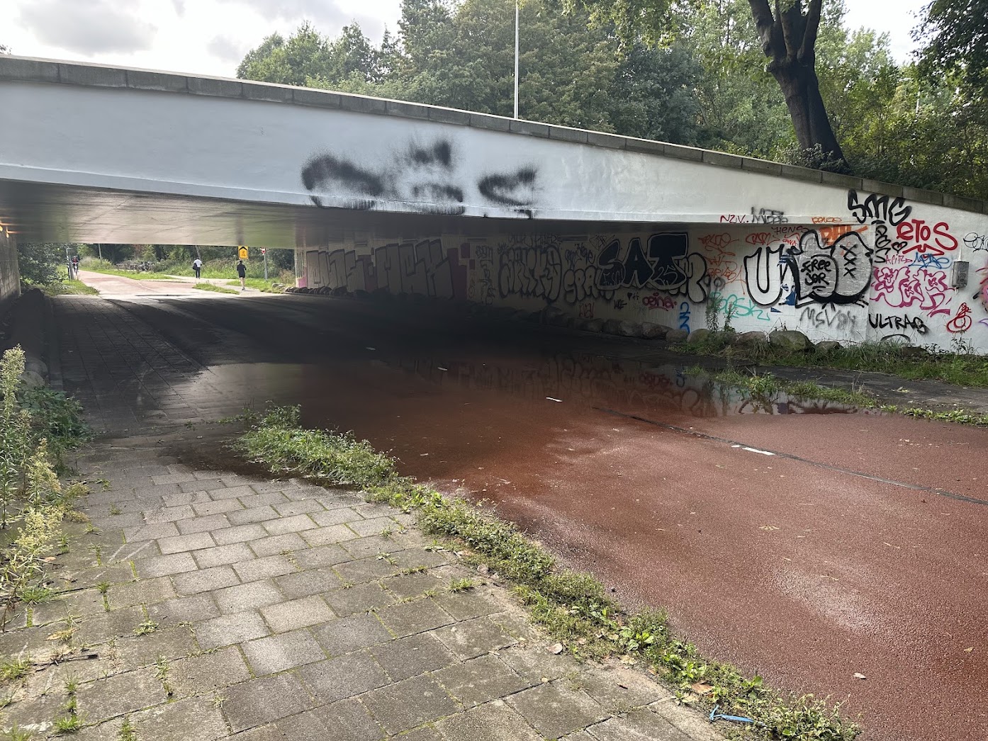 Regenwater