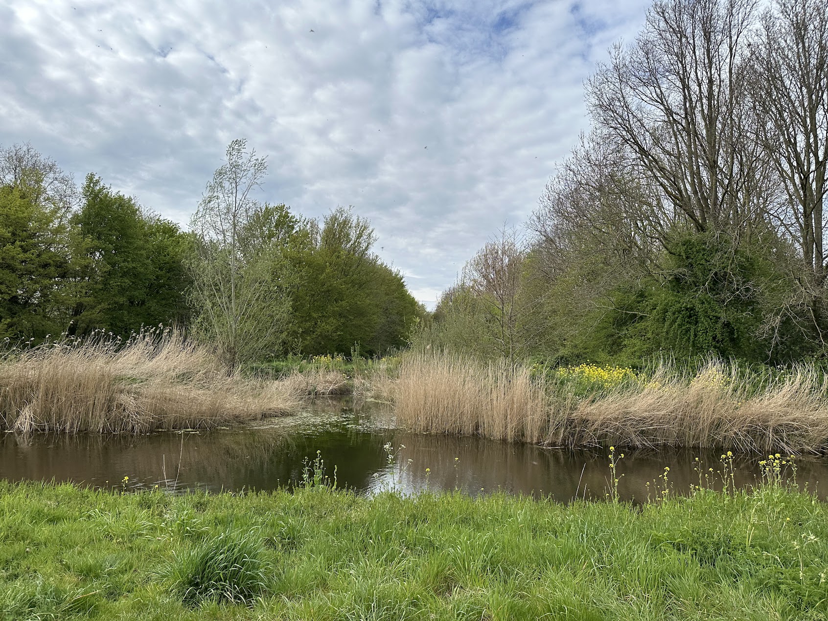 Ecologische hoofdcorridors