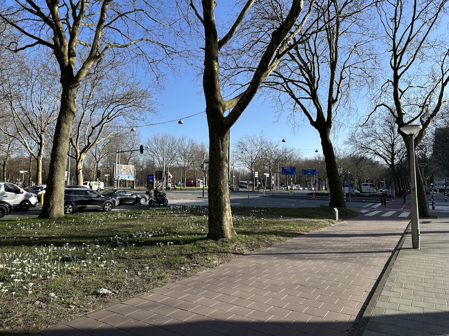 Hoofdkruispunten