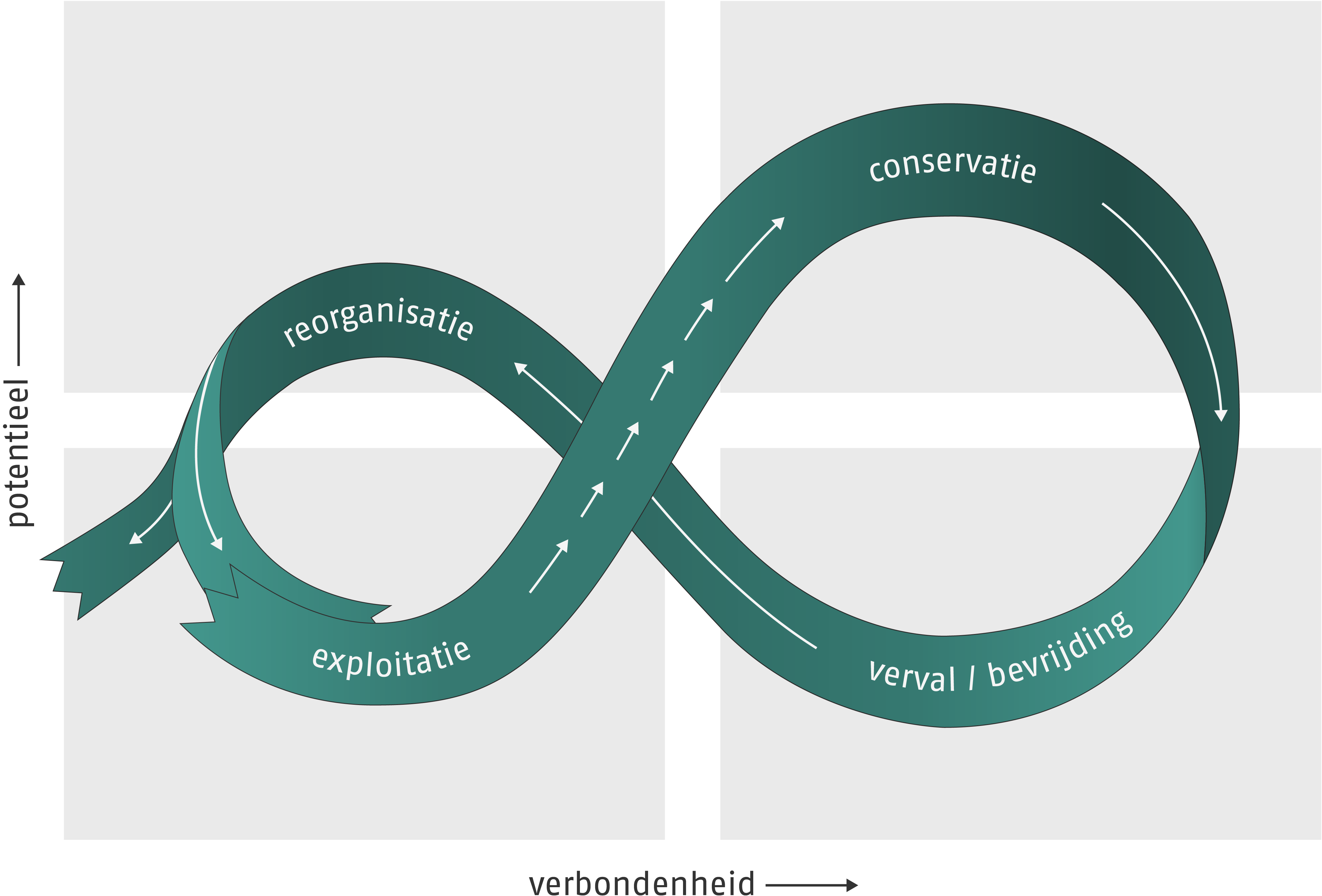 Schematische weergave van vier fases in de ontwikkeling van ecologische en sociale complexe systemen